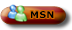 MSNM/WLM 